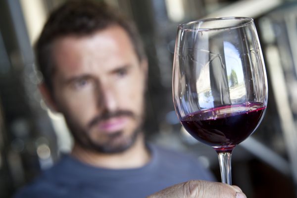 Der beliebte Rotwein Camí de Cormes hat in den letzten Jahren hervorragende Bewertungen bekommen.