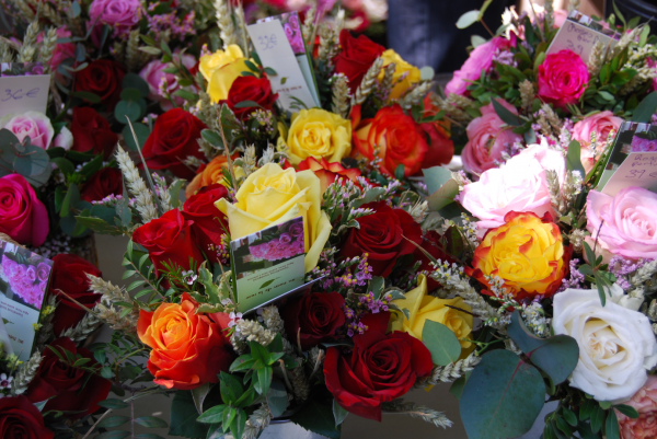 Rosen in sämtlichen Farben machen aus Sant Jordi einen bunten Tag.