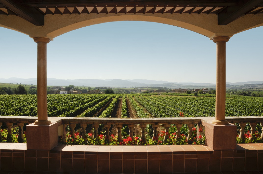Weine aus Katalonien | Die Weinberge des Traditionsunternehmen Alsina Sardà sind in El Pla del Penedès, Torrelavit und Subirats verstreut – alle drei inmitten der renommierten Wein- und Cavaregion Penedès gelegen.